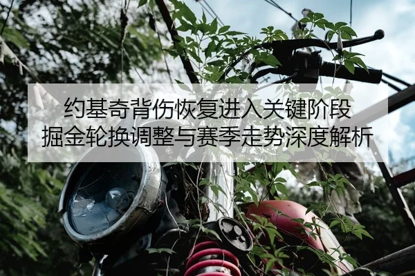 约基奇背伤恢复进入关键阶段 掘金轮换调整与赛季走势深度解析